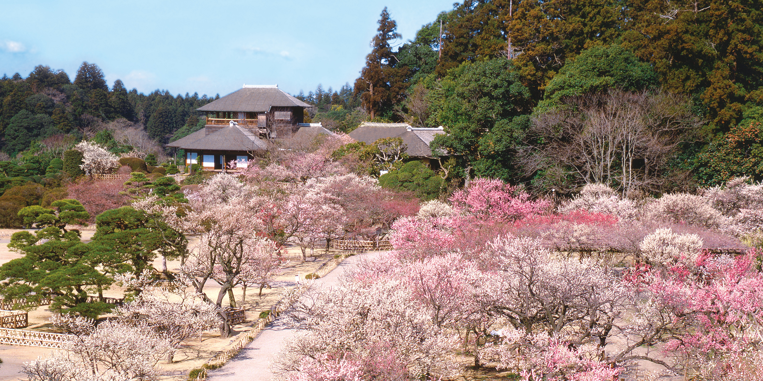 スライダー2枚目
